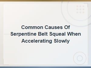 Common Causes of Serpentine Belt Squeal When Accelerating Slowly