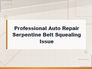 Professional Auto Repair: Common Causes of Serpentine Belt Squealing Issues
